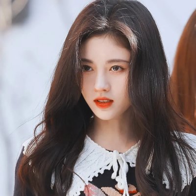 猫与苍蝇